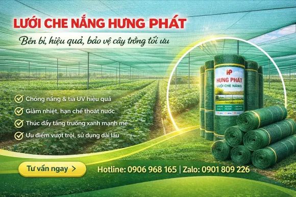 Lưới Chắn Côn Trùng Thân Thiện Môi Trường – Giải Pháp Bảo Vệ Không Gian Sống An Toàn, Bền Vững