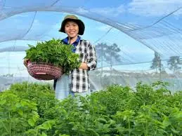 LƯỚI CHE NẮNG HƯNG PHÁT